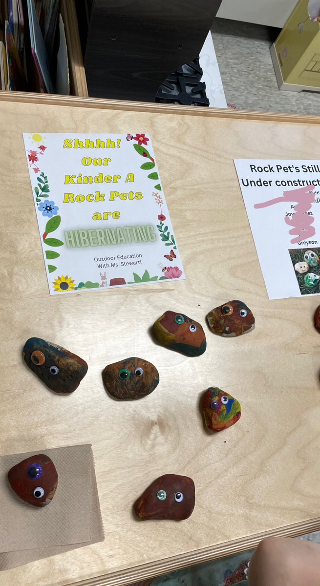 Stewart0418's tweet photo. Rock pets were a hit at meet the teacher night! These rock pets are going home with their loving owners! #OutdoorEducation @SouthsidePublic https://t.co/iJaq52tWYJ