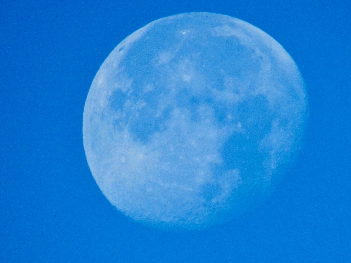 apaulagetics's tweet photo. I've never photographed the moon during the day with a blue sky - until this morning.
--
#yeg #moonpics #moon #moonphotography #moonphoto #instagramyeg #yegphotographer #moonpicsofinstagram https://t.co/lComWCvA0i