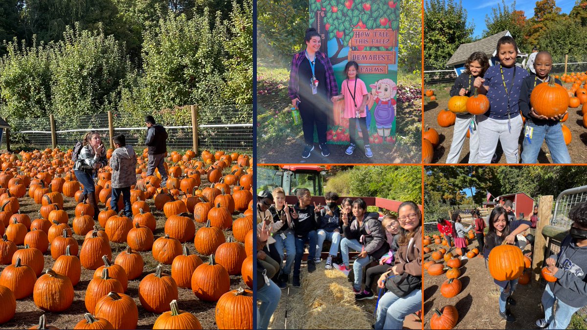 NYSD1817's tweet photo. Today our elementary students and staff members had an outstanding visit to #DemarestFarms. They picked their own pumpkins, visited the animals at the petting zoo, and enjoyed a fall hayride! #HandsOnLearning #FallFun https://t.co/a3WJI1x0FS