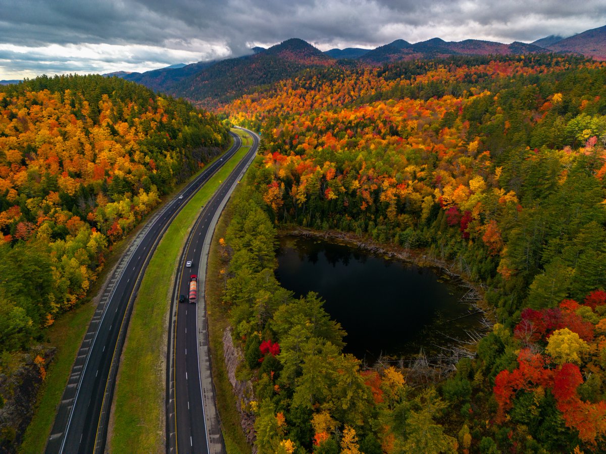 Dominick tweet media