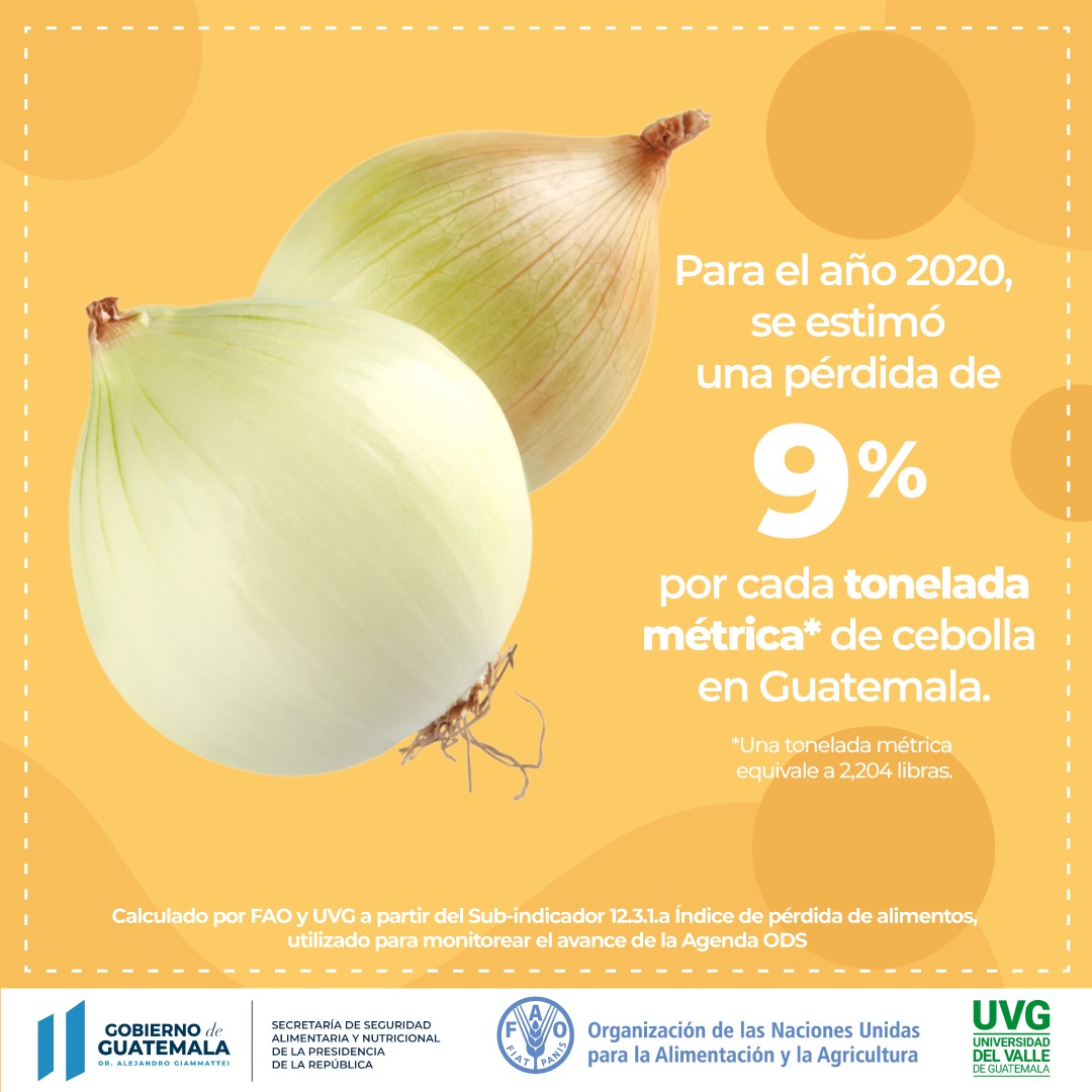 UVG Instituto de Investigaciones tweet media