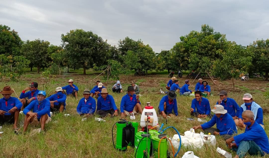 distanparikpml's tweet photo. Dinas Pertanian Kabupaten Pemalang melakukan Gerakan Pengendalian (GERDAL) Organisme Pengganggu Tanaman. Pada Komoditas Hortikultura Tanaman Mangga di Kelurahan Widuri.
.
.
#dispertan #pemalang #opt https://t.co/iaLAlgItb8