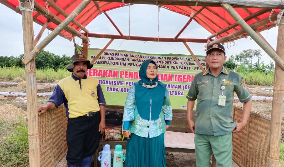 distanparikpml's tweet photo. Dinas Pertanian Kabupaten Pemalang melakukan Gerakan Pengendalian (GERDAL) Organisme Pengganggu Tanaman. Pada Komoditas Hortikultura Tanaman Mangga di Kelurahan Widuri.
.
.
#dispertan #pemalang #opt https://t.co/iaLAlgItb8