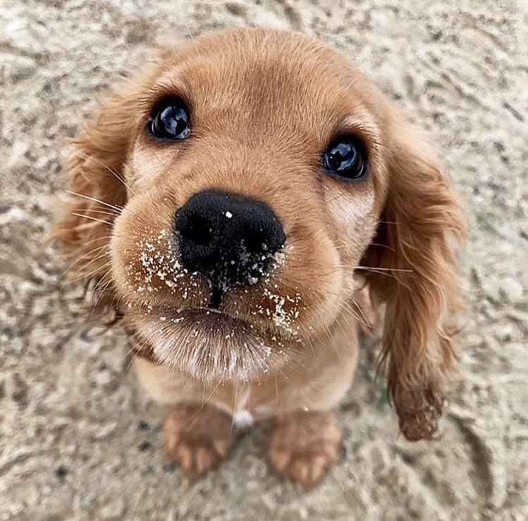 Moods (@thesemoods) on Twitter photo 