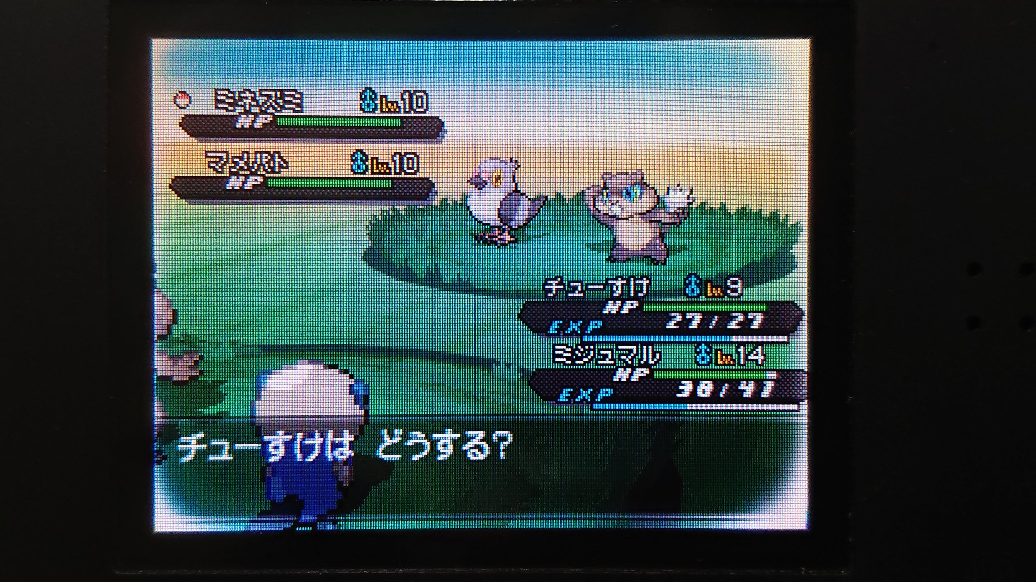 Daiki Bw2色旅 Pokepoke Daiki Twitter