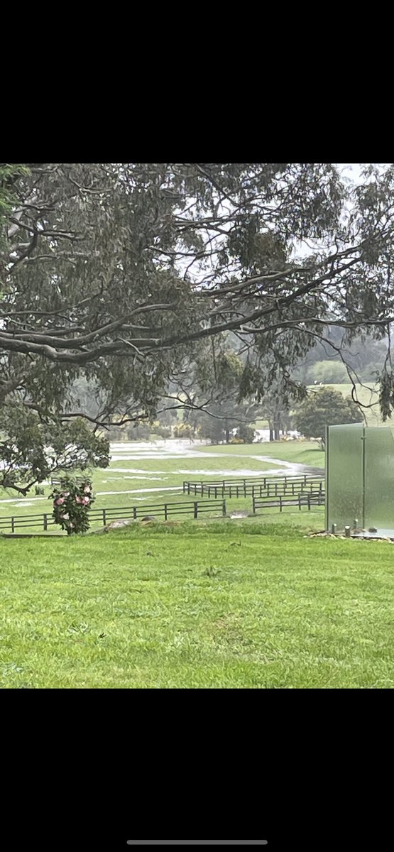 bec_1000's tweet image. 10am vs 1pm