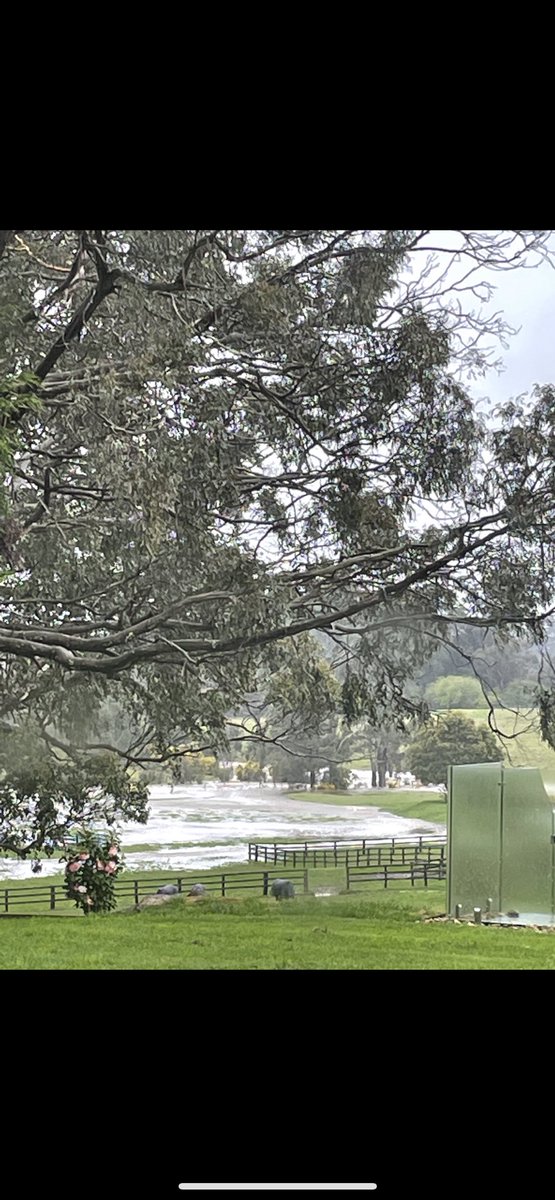 bec_1000's tweet image. 10am vs 1pm