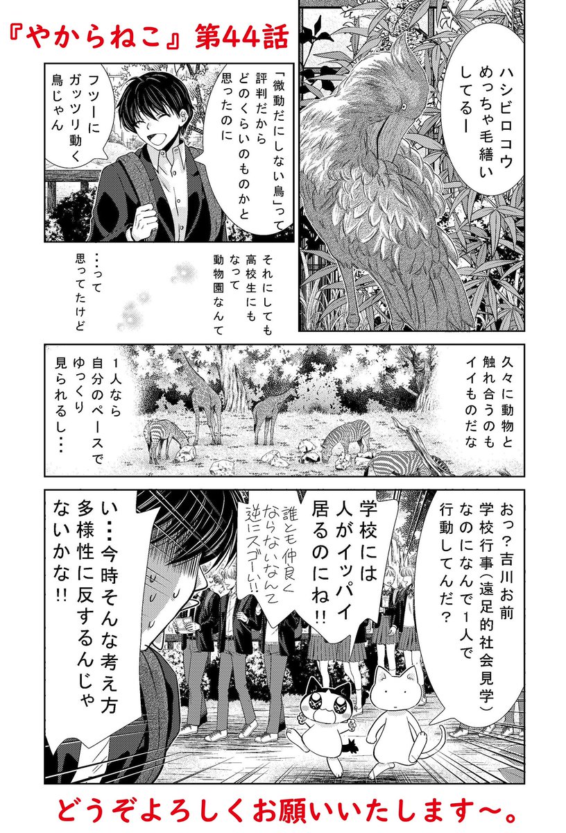 🌸宣伝です🌸

【ベツコミ11月号】本日発売です。
私も『やからねこ』という漫画を描かせていただいております。

以前動物園で見たハシビロコウは3羽くらい居たのですが全員普通に動いて生を営んでいました。

どうぞよろしくお願いいたします〜。 