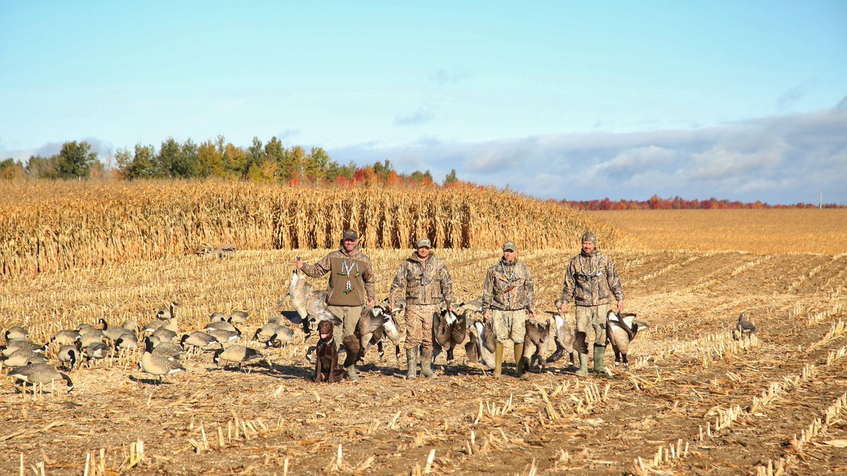 Incredible hunt in Quebec! 

#canada #quebec #conservation

<a href="/MossyOak/">Mossy Oak</a> <a href="/DucksUnlimited/">Ducks Unlimited</a> <a href="/Ducks_TV/">Ducks Unlimited TV</a> <a href="/drakewaterfowl/">Drake Waterfowl</a> <a href="/TourismQuebec/">Bonjour Québec</a> <a href="/DUContario/">Ducks Unlimited Canada in Ontario</a> <a href="/ducanada/">Ducks Unlimited CAN</a>