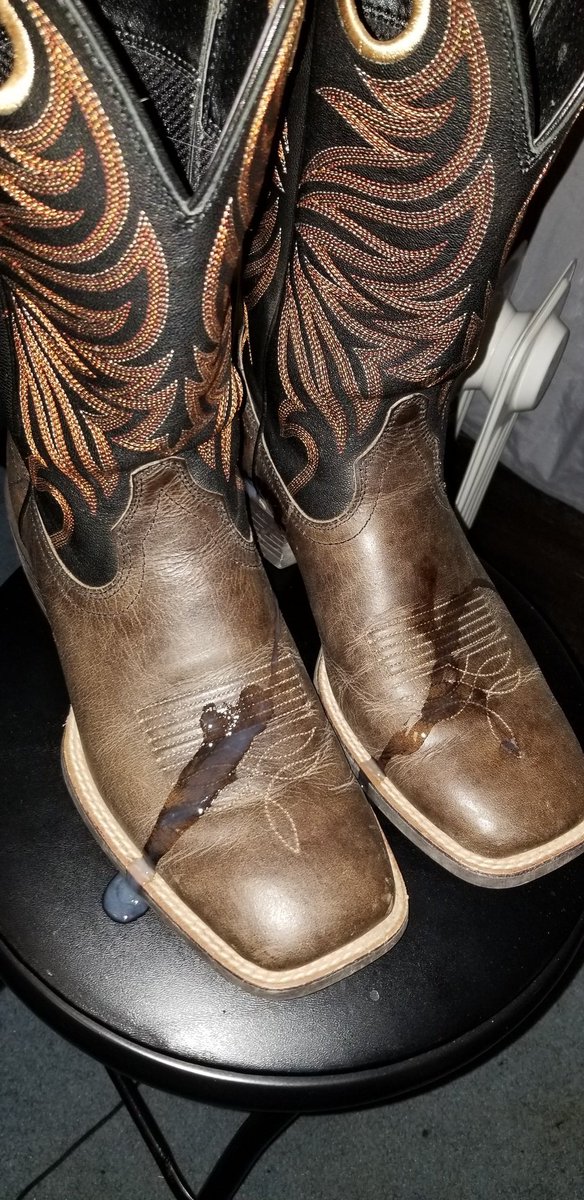 W38119465W's tweet photo. Boots needs some conditioning today https://t.co/4RthApr3dM