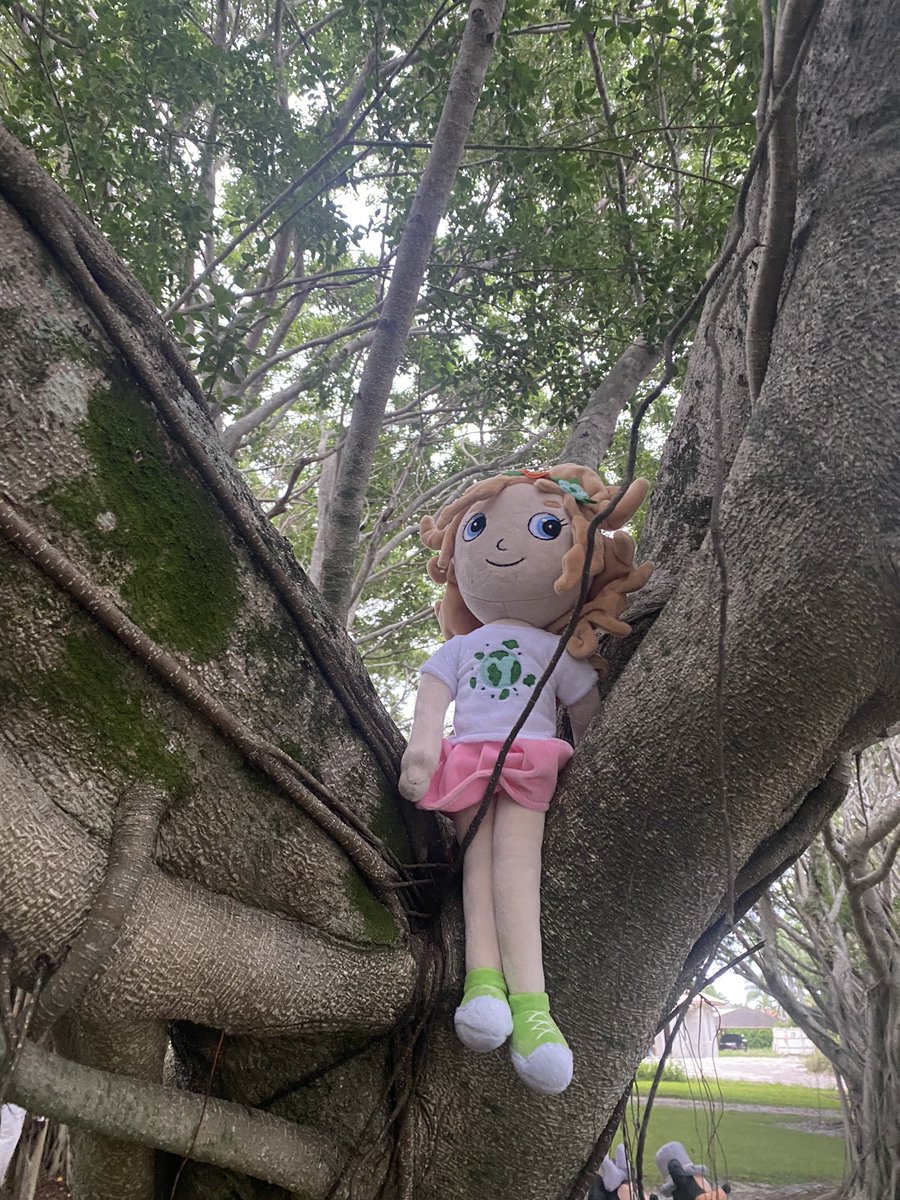 Sometimes you just need to sit on a tree branch and listen to the sounds around you. #trees #nature #bekind #ChildrensBooks #teacher amazon.com/Miss-Etta-Guid…