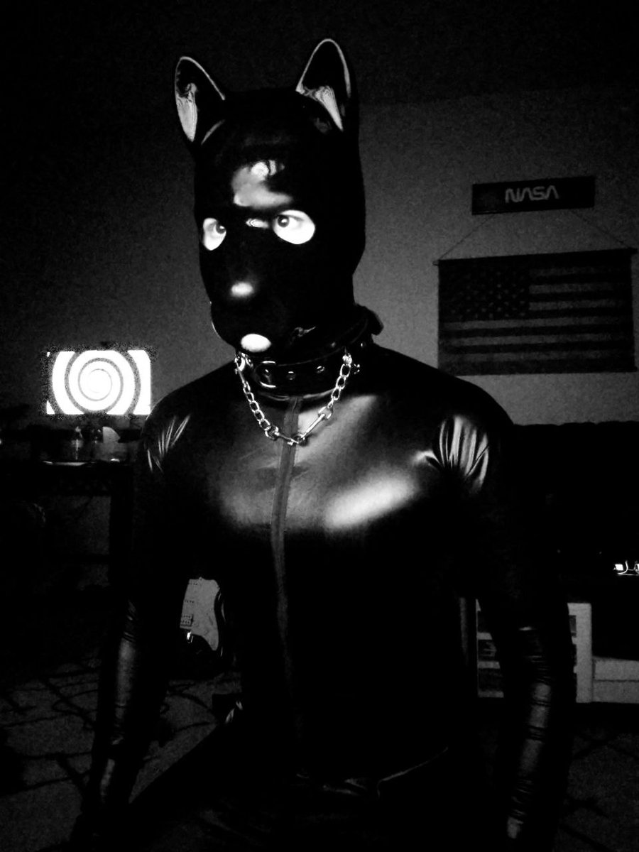 Hypnopup nights #gaypup #gaykink #gayhypno