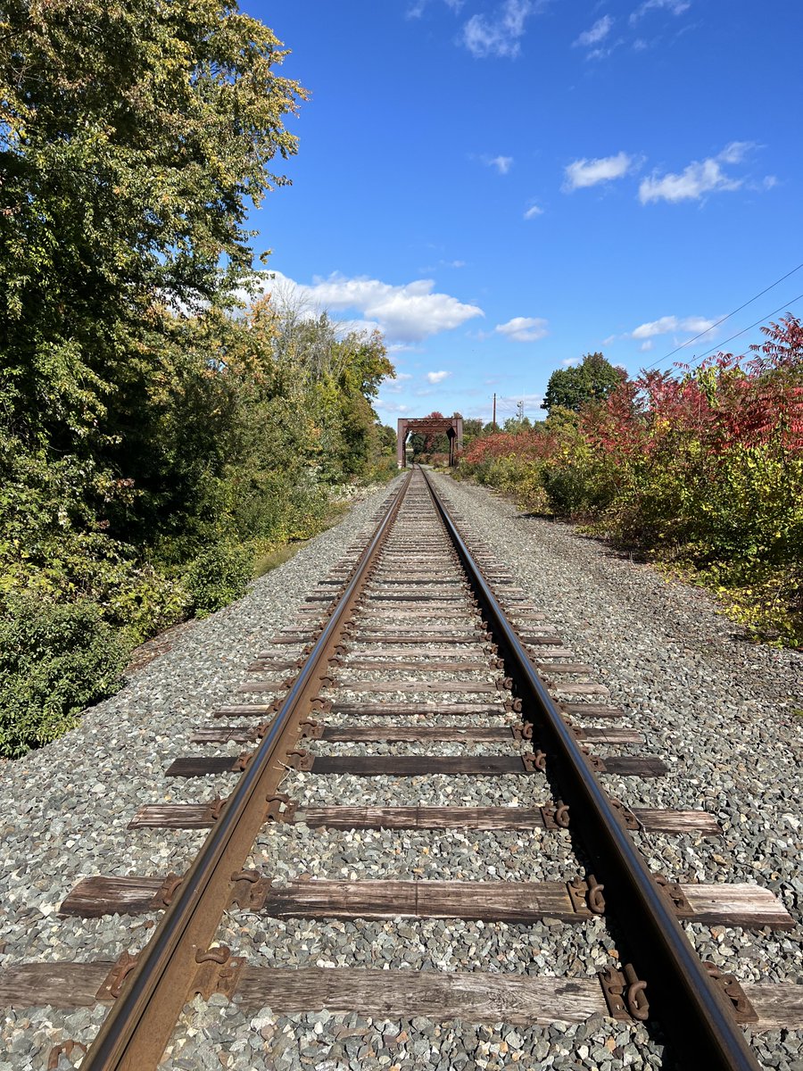 SativaShower💨 tweet media