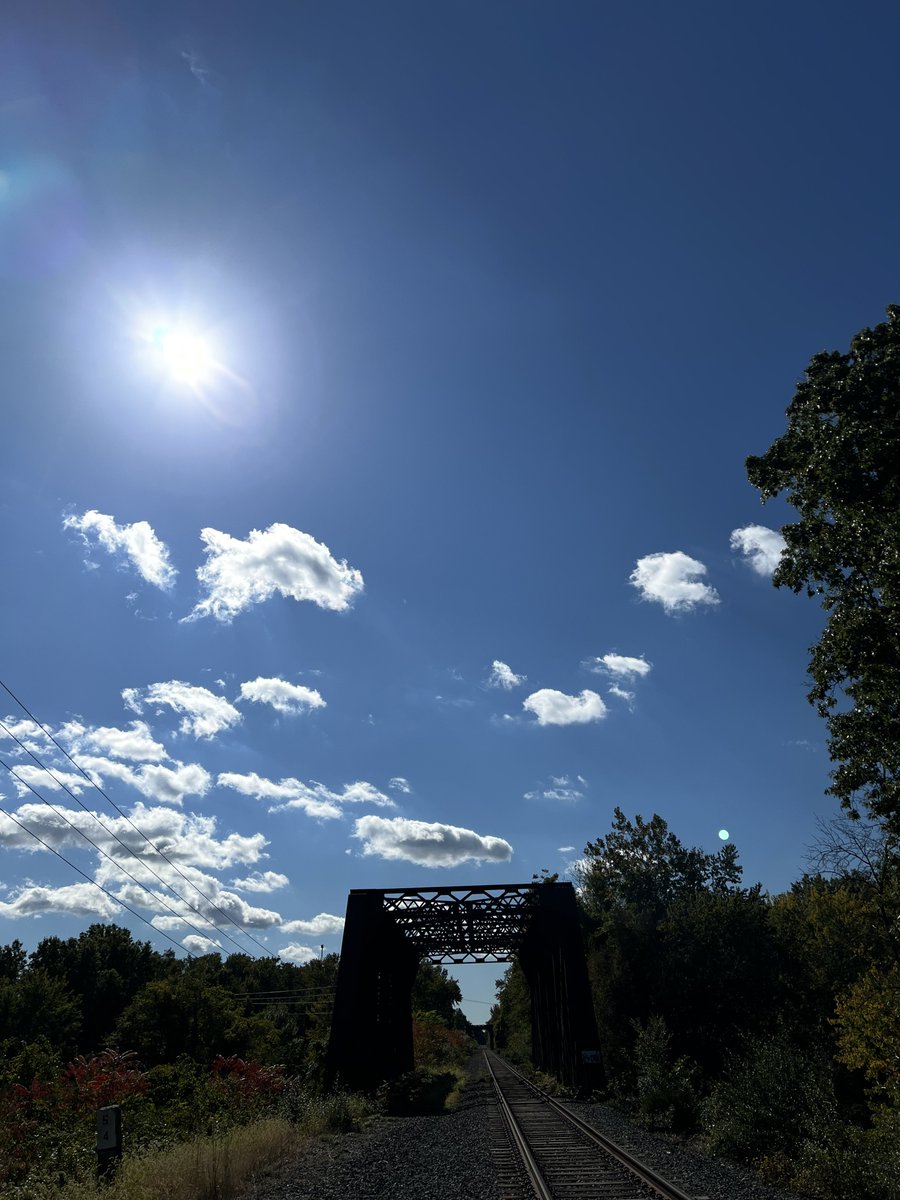 SativaShower💨 tweet media