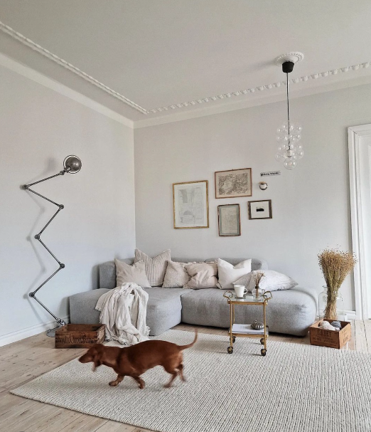 Lumitop_com's tweet photo. Merci kallionkoti pour cette belle inspiration, une ambiance douce et chaleureuse 🧡
Le lampadaire est le modèle D9406 de la marque Jieldé.
jielde #jieldé #jieldelamp #madeinfrance #lumitop #industrialdesign #lampejielde #luminaire #light #deco #lampefrançaise https://t.co/KOTwrtQwIw