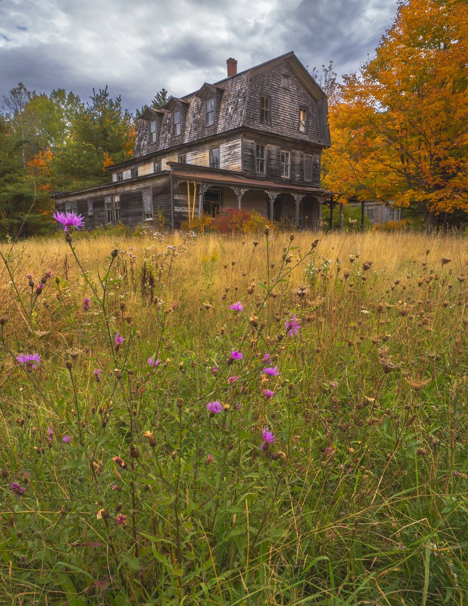 Dominick tweet media