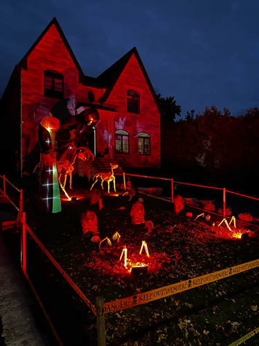 DanielforAurora's tweet photo. Another Halloween find walking around. Such passion. #ward2 #aurora https://t.co/sSGebNUx5w
