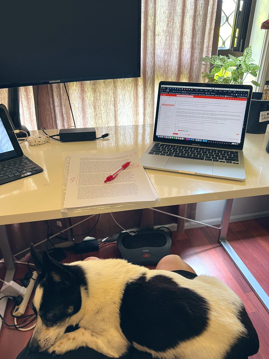 cjruiz18's tweet photo. I have a different lap dog/study buddy this week! This is Bender, who my brother rescued in 2007, became our family dog, but took when he moved out of home. It’s been great getting Bender cuddles again (shhhhh don’t tell Scooter🤫)  #DogsofTwittter https://t.co/7Fxyqqo0xk