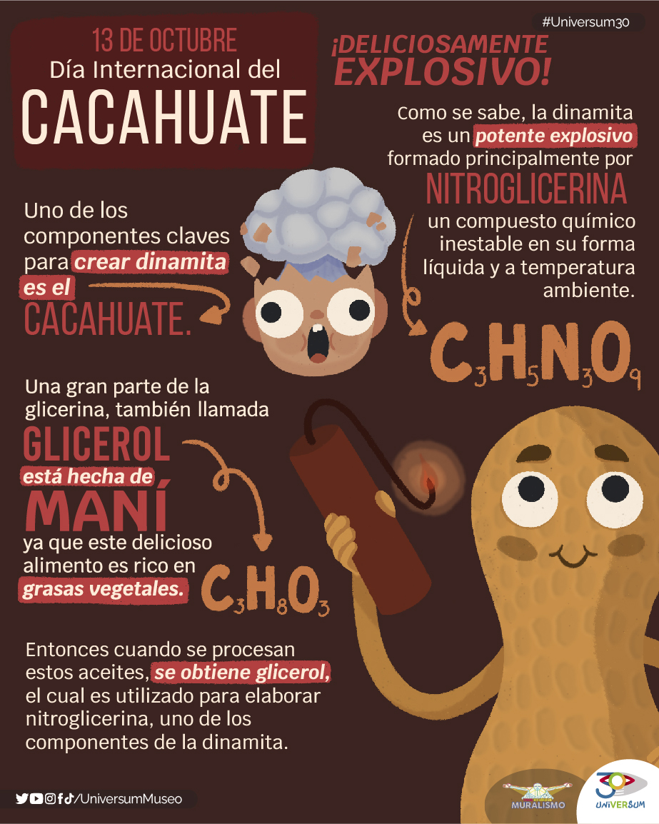 Hoy es el Día Internacional del Cacahuate, 🥜💗 y por eso te traemos un dato que te hará volar. 🤯

#Universum30
