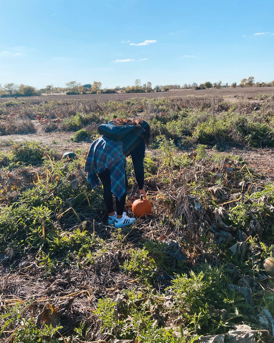 bl_smiley's tweet photo. Pumpkin patch days 🎃🍂 https://t.co/XXiJTRZiTc