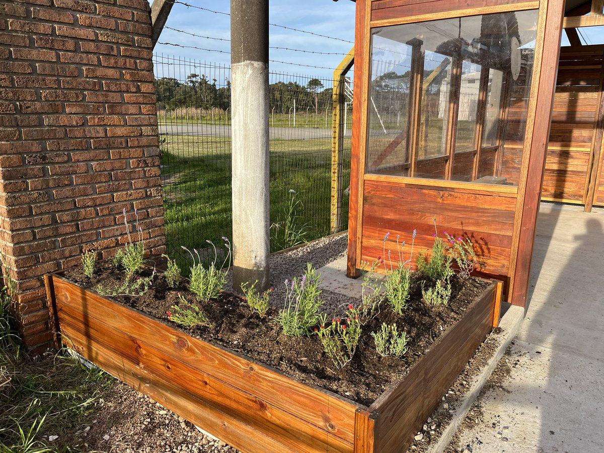 diegolacorook's tweet photo. Se comenzó con el embellecimiento del Balneario, en el día de hoy se decoró y se plantaron lavandas y rayitos de sol en la garita frente al Liceo.
Se pide el cuidado de las mismas por parte de toda la población.@valenmartinezv @santiruibal @RamnLorente3 @GobiernoRocha @PNACIONAL https://t.co/6zcjcQVHEO
