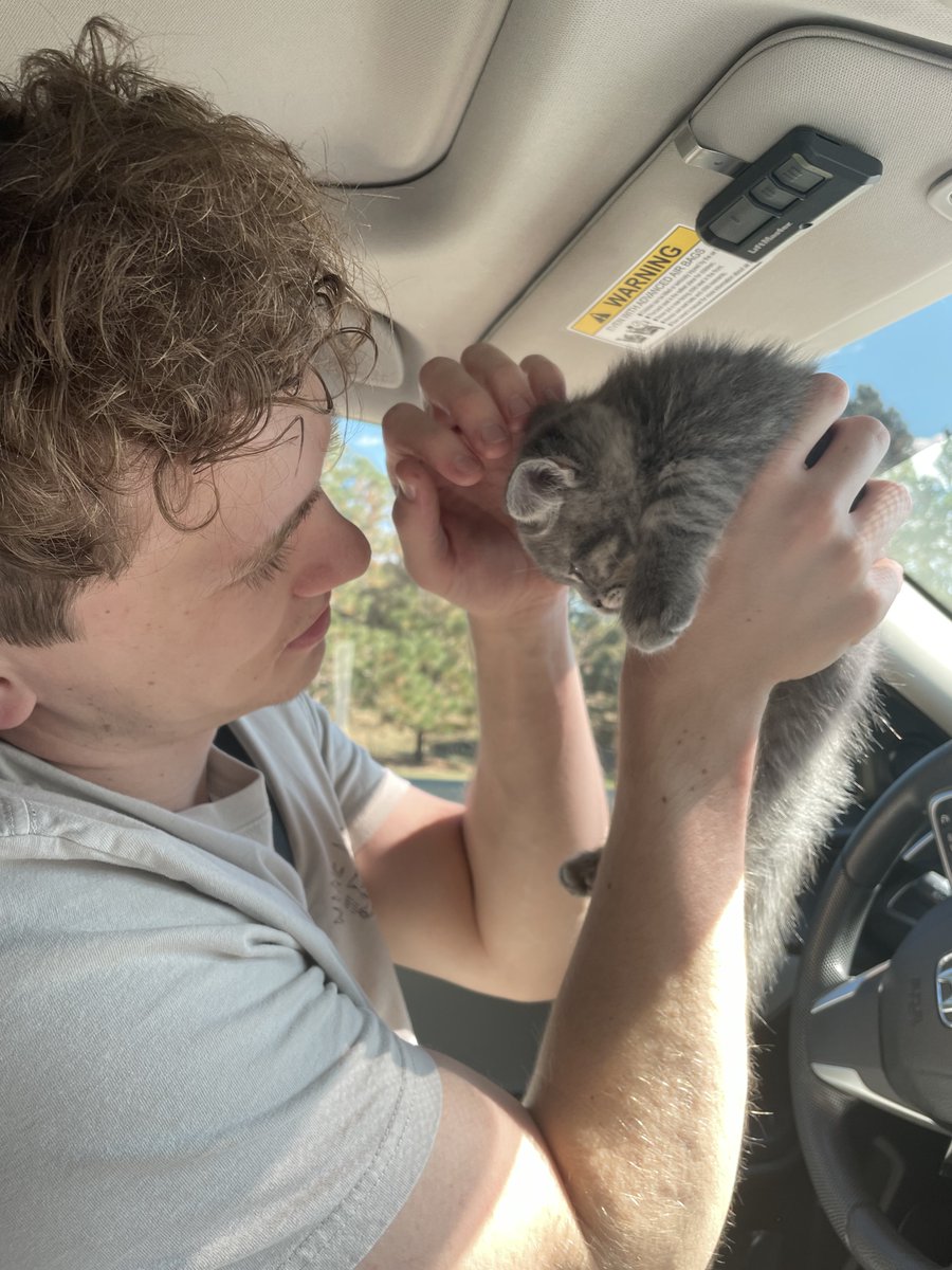 HaydenTV's tweet image. hi @Twitch @TwitchSupport my mod skittles_swag was just suspended for typing "show us your pussy" attached below is a picture of me and my new kitten which is a synonym for the word "pussy". plz consider unbanning as he is a very important mod #freeskittlesswag
