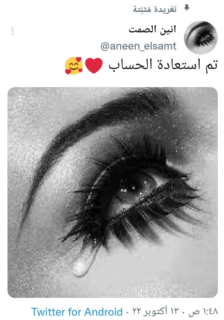 Mervat Haready (@mervathaready) on Twitter photo 