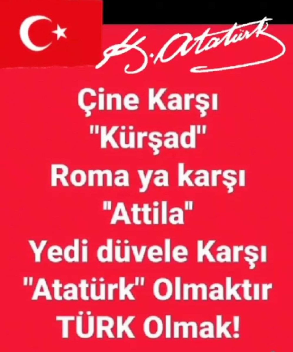 Özer Çaltık (@ozercalt) on Twitter photo 