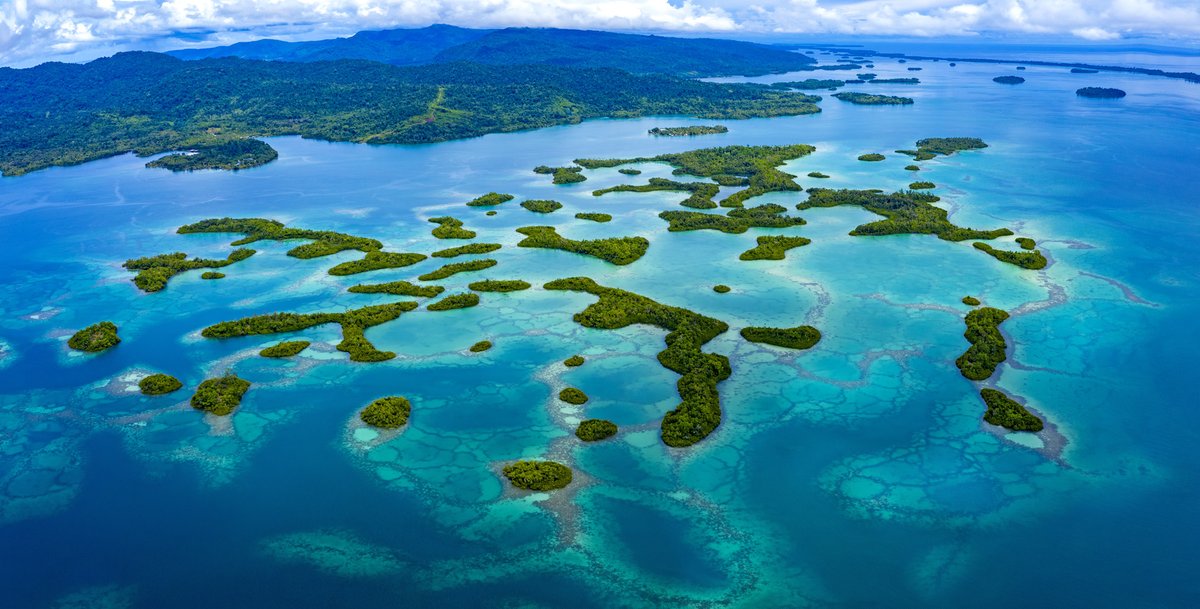 Visit Solomon Island tweet media