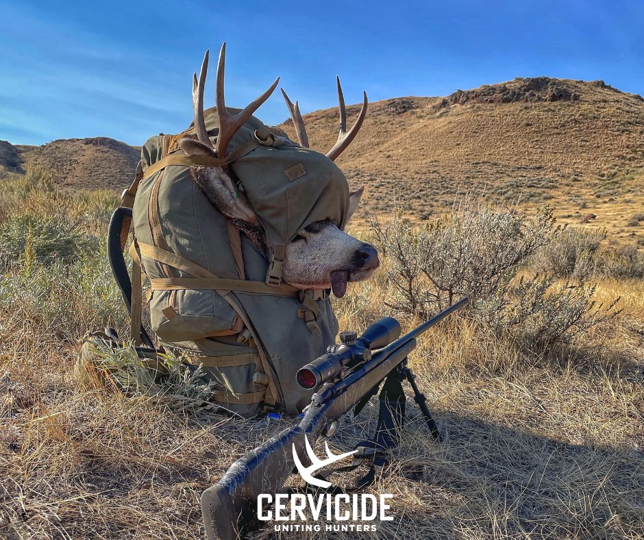 TeamCervicide's tweet photo. Point Blank Range- By Pro-Staff Brian Halchak 

*This is Part One of Three on Shooting Tips.

New Blog⬇️
https://t.co/uhfS0v5u3j https://t.co/3m5nZGkhJn