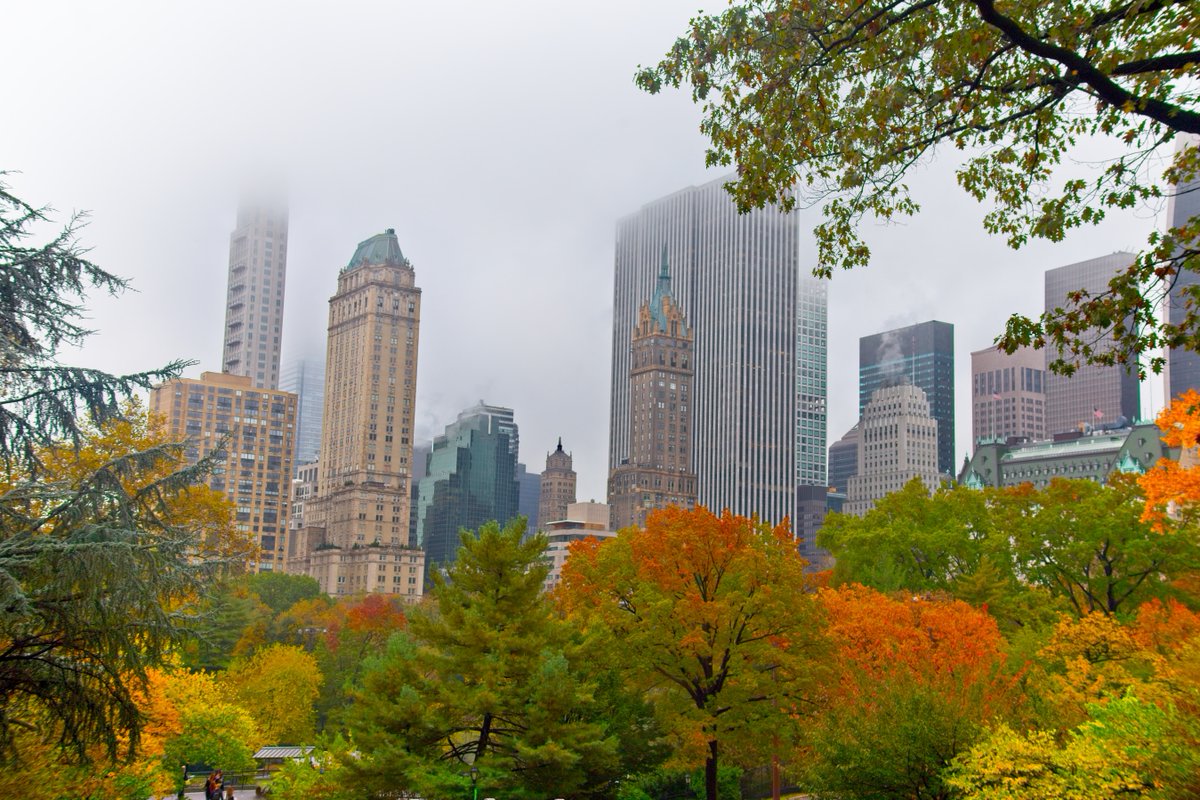 onetreeplanted's tweet photo. #DidYouKnow

More than 1/3rd of our biggest #cities, including New York, Tokyo, and Barcelona, get a significant proportion of their high-quality drinking water from protected #forests 🚰🌲💧 https://t.co/6XrVSeCDnh