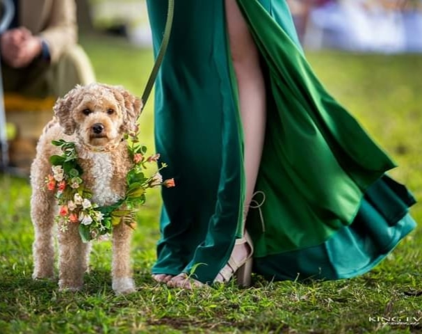 King Eve 📸 (@1kingeve) on Twitter photo 