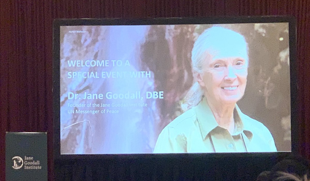 nikkidave30's tweet photo. Iโm so glad I was able to hear Dr Jane Goodall and her incredible journey in her own words. ๐ #ExploreReflectConnect #ExplorerMindset https://t.co/ajgrxgIdgH