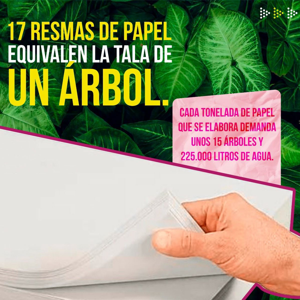 AnaKaCasta's tweet photo. #𝐃í𝐚𝐌𝐮𝐧𝐝𝐢𝐚𝐥𝐃𝐞𝐥Á𝐫𝐛𝐨𝐥
¡Hey!✋
¿Qué estás haciendo para no impactar negativamente en los árboles🌱?
Lee el post y crea hábitos más amigables con estas plantas leñosas🌳 que tanto bien nos hacen.
#EdilLocalidad2 #SeanosLaVoz #AnaKPorLaHistórica #Siembra #Planta https://t.co/6Lt88hmOes
