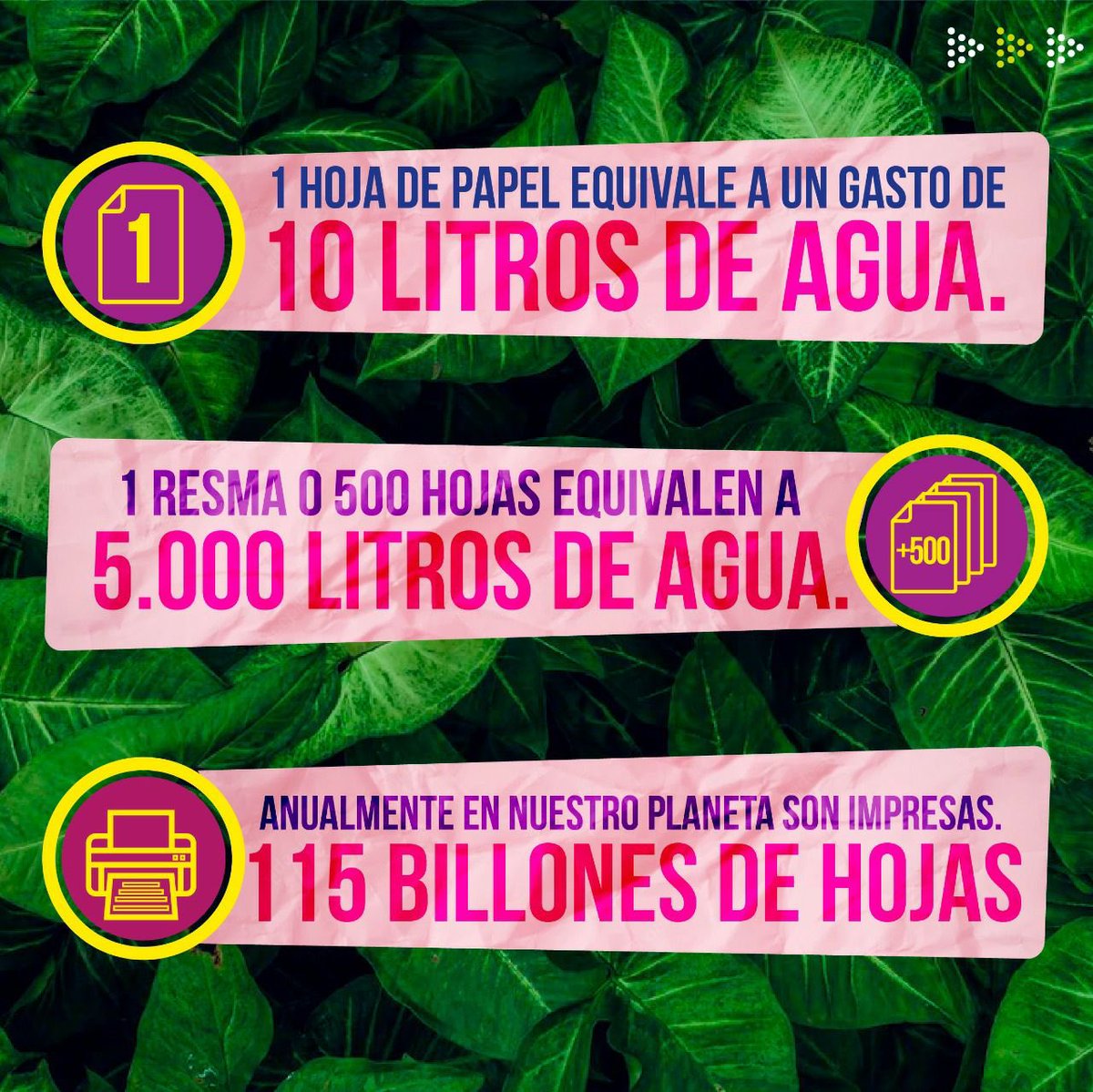 AnaKaCasta's tweet photo. #𝐃í𝐚𝐌𝐮𝐧𝐝𝐢𝐚𝐥𝐃𝐞𝐥Á𝐫𝐛𝐨𝐥
¡Hey!✋
¿Qué estás haciendo para no impactar negativamente en los árboles🌱?
Lee el post y crea hábitos más amigables con estas plantas leñosas🌳 que tanto bien nos hacen.
#EdilLocalidad2 #SeanosLaVoz #AnaKPorLaHistórica #Siembra #Planta https://t.co/6Lt88hmOes