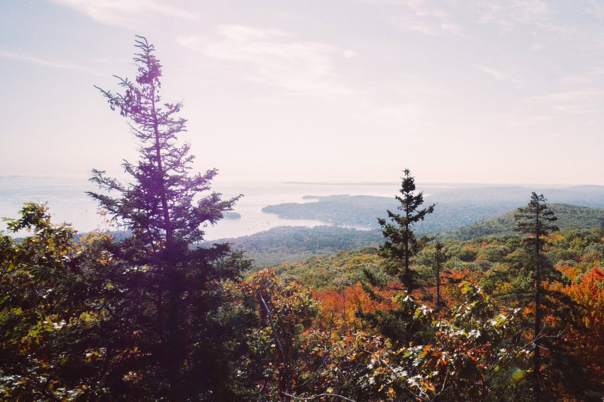 gavin spellman (@gav_spellman) on Twitter photo 