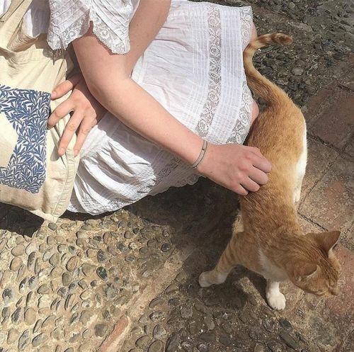 ⋆ 8.3K ⛄ | buzón !! tweet media