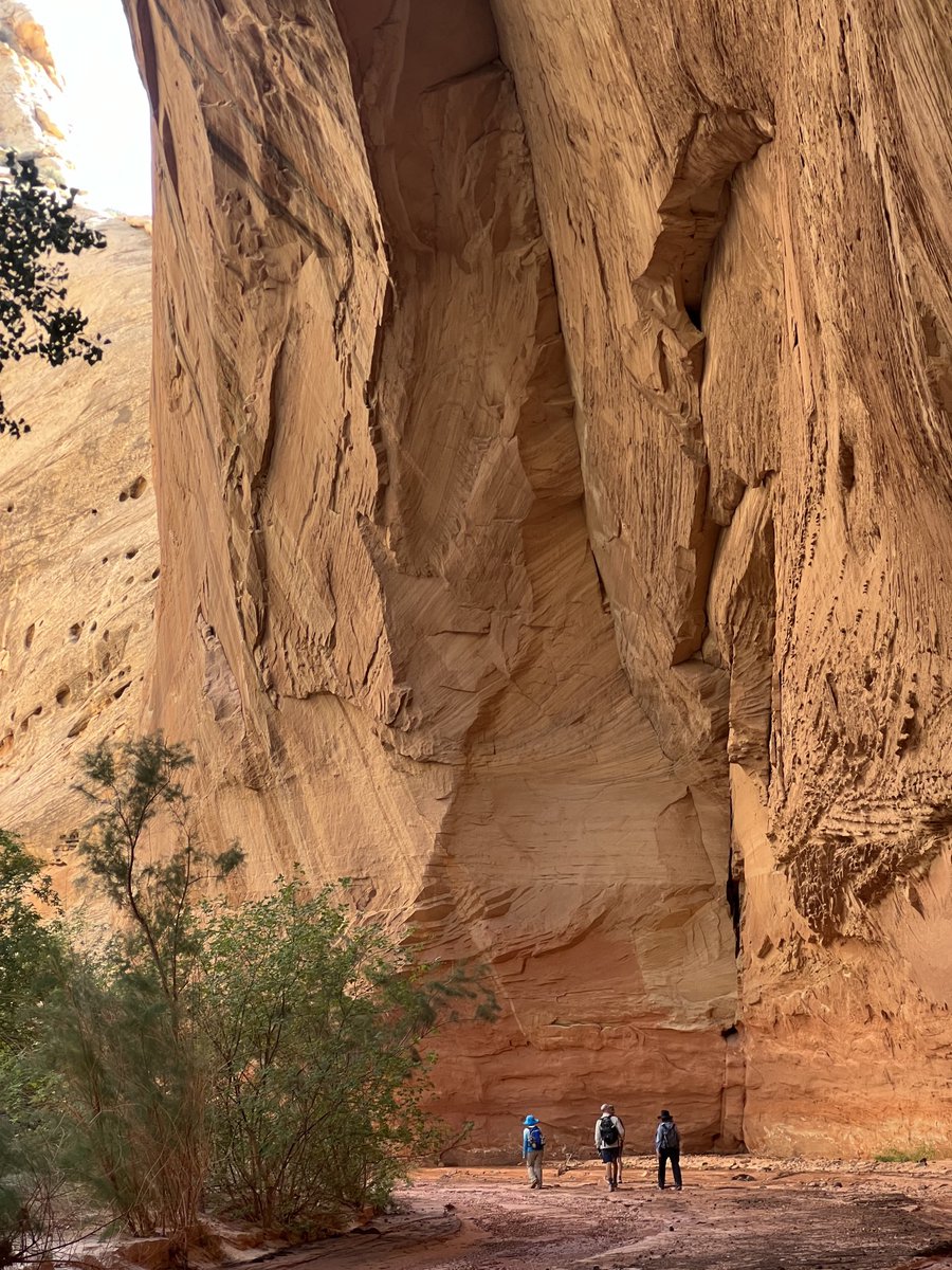 falkswagen's tweet photo. #CapitolReef
#Utah https://t.co/dfnQ5vB7x6