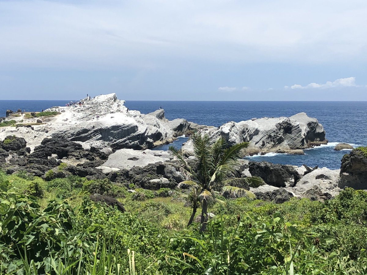 niccijsmith's tweet photo. .#Taiwan reopens its borders today - no more quarantine 🙌 - so here’s another little reminder of why you book your ticket and make a trip! https://t.co/QdNeUJE5Sv