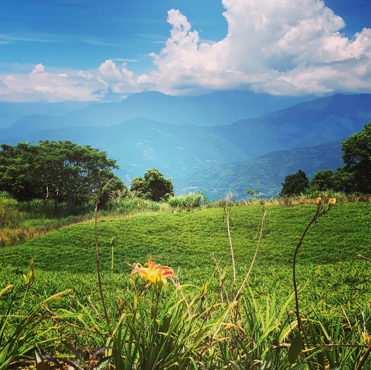 niccijsmith's tweet photo. .#Taiwan reopens its borders today - no more quarantine 🙌 - so here’s another little reminder of why you book your ticket and make a trip! https://t.co/QdNeUJE5Sv