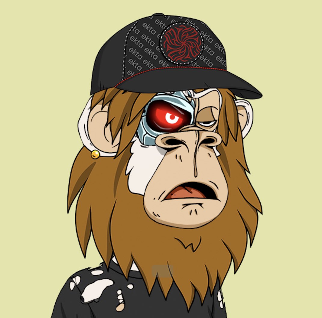 littlepewpews's tweet photo. @hoodlurking @EktaChain @LazyApeYC LFGGGGG π #ProutoDeath https://t.co/1TioowXBqw