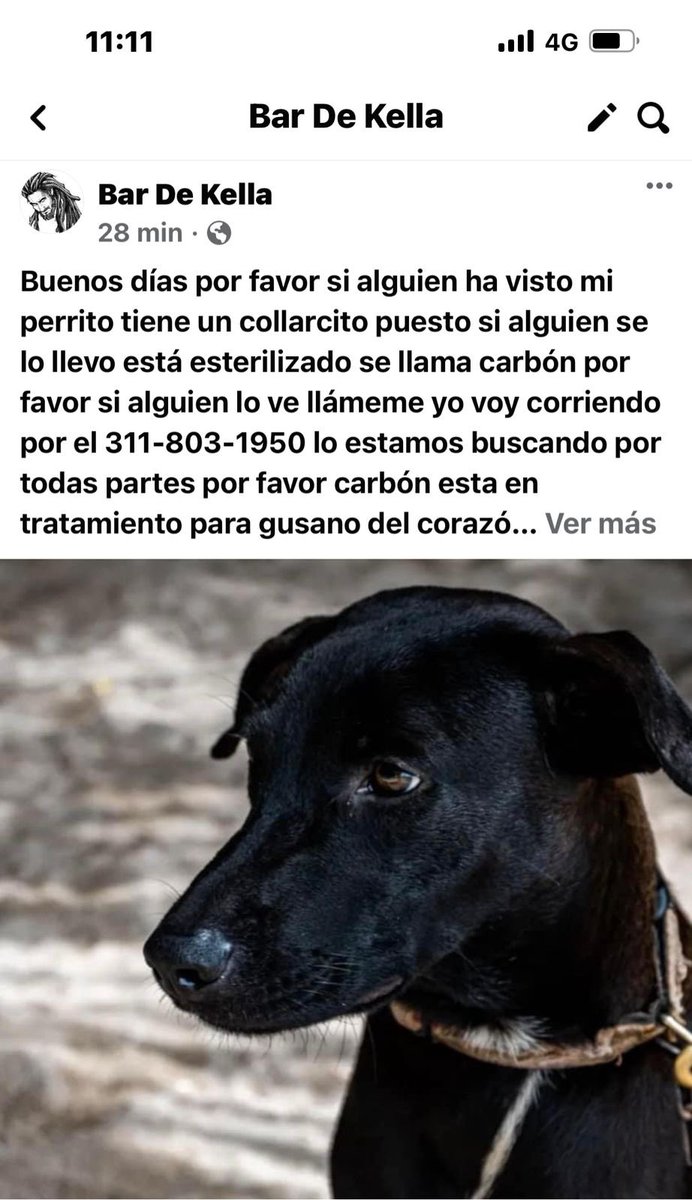 Por favor, si lo ven 🙏🏿