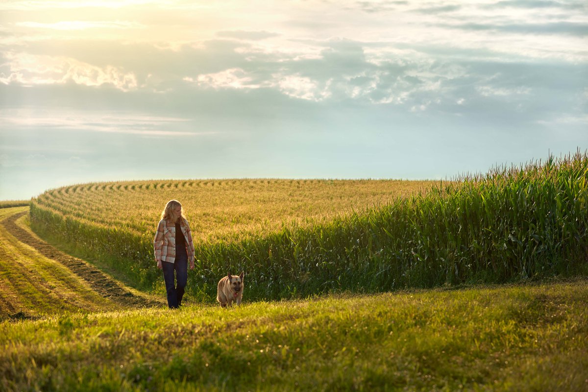 LGSeeds's tweet photo. Thank you farmers, past and present! #nationalfarmersday #harvest22 https://t.co/RcCV8LKsTo