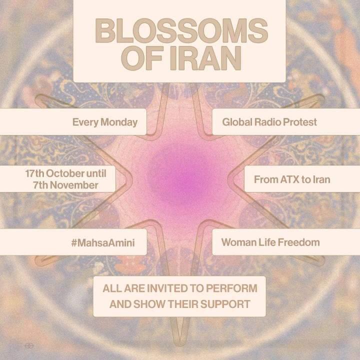 Shared Frequencies Radio tweet media