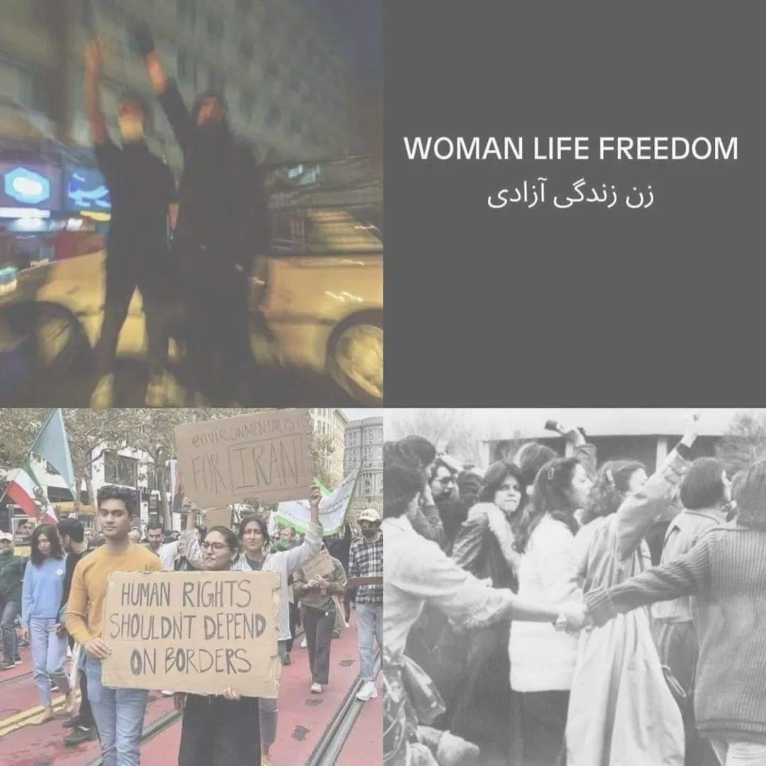 Shared Frequencies Radio tweet media