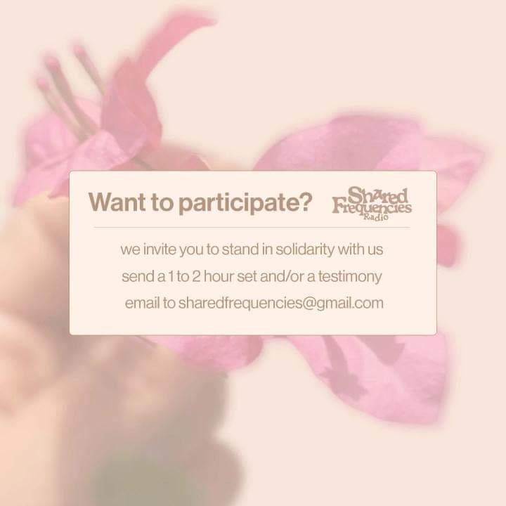 Shared Frequencies Radio tweet media