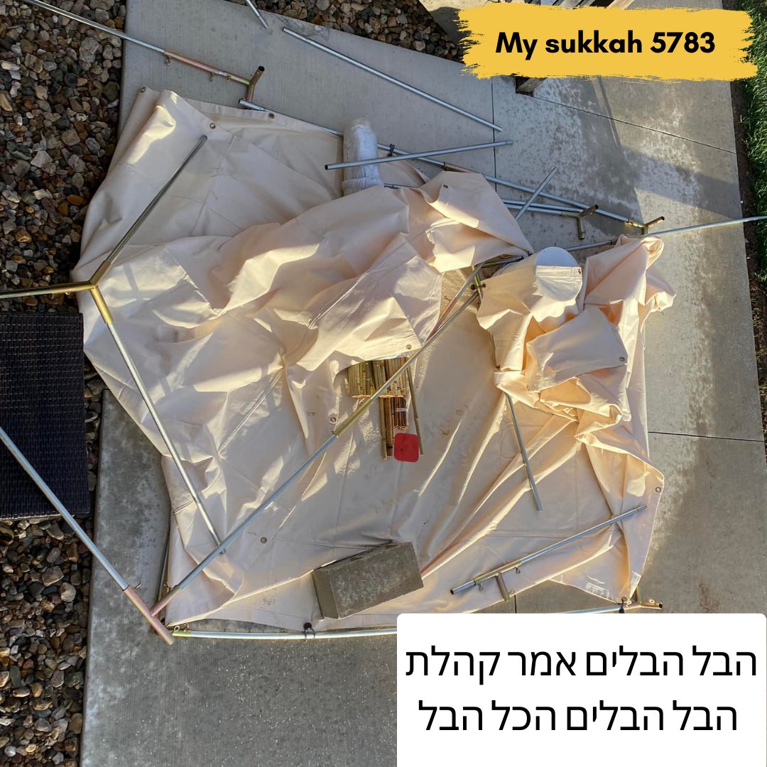 corvingreene's tweet image. Please someone else think this is funny. The windstorm destroyed my Sukkah, so when reading Kohelet I had to laugh at this line.