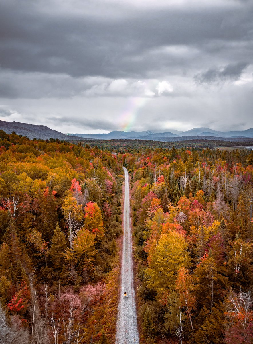amberoutthere's tweet photo. Early fall in New York 🍁🍃 https://t.co/UP5EgGOHkd