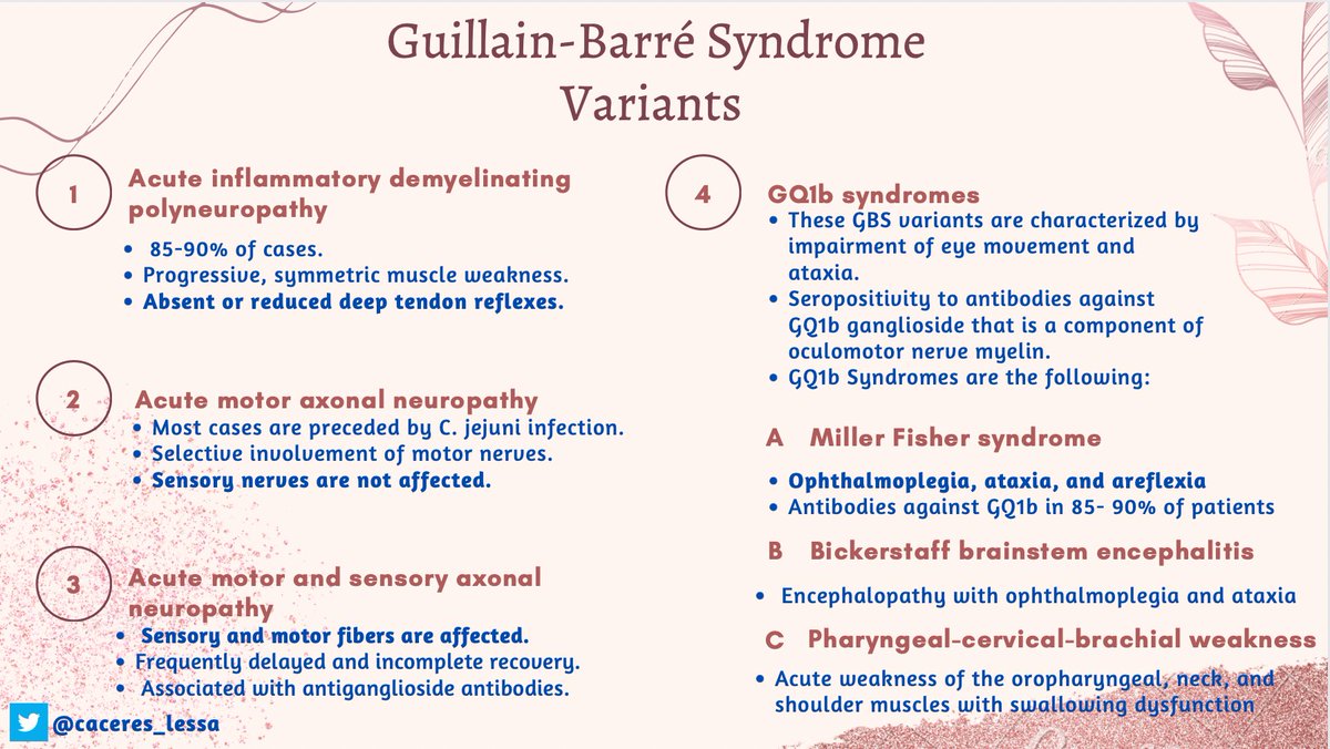 Ana Yasmin Caceres Lessa (@caceres_lessa) on Twitter photo After a fantastic case about GBS presented at <a href="/CPSolvers/">The Clinical Problem Solvers</a>, I got delighted with the enriched neuro discussion with <a href="/valeroldan23/">Valeria Roldan</a>, <a href="/MadellenaC/">Madellena (Maddy) Conte</a>, and Dr. <a href="/AaronLBerkowitz/">Aaron Berkowitz</a>.
I hope this infographic would be useful for you all!
#MedTwitter #medEd #match2023 <a href="/Inside_TheMatch/">Inside The Match</a> After a fantastic case about GBS presented at <a href="/CPSolvers/">The Clinical Problem Solvers</a>, I got delighted with the enriched neuro discussion with <a href="/valeroldan23/">Valeria Roldan</a>, <a href="/MadellenaC/">Madellena (Maddy) Conte</a>, and Dr. <a href="/AaronLBerkowitz/">Aaron Berkowitz</a>.
I hope this infographic would be useful for you all!
#MedTwitter #medEd #match2023 <a href="/Inside_TheMatch/">Inside The Match</a>