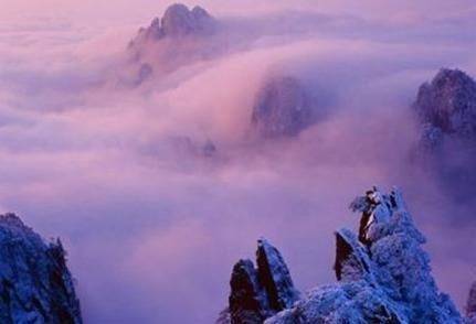 ViVi Tong tweet media